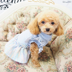 ワンピース ドレス ツイード パステル トップス フレア ドッグウェア 小型犬 犬服 P396 1枚目の画像