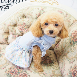 ワンピース ドレス ツイード パステル トップス フレア ドッグウェア 小型犬 犬服 P396 5枚目の画像