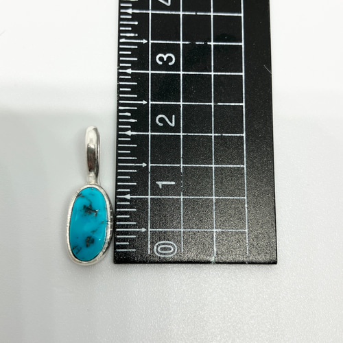 K*I様 スリーピングビューティー ターコイズ　　シルバー ネックレス サンダーバード スリーピングビューティー ターコイズ シルバー