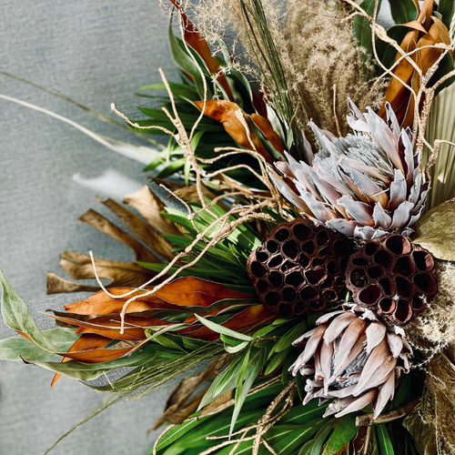 ネイティブフラワー スワッグ（大サイズ）｜プロテア×ユーカリ｜壁掛け