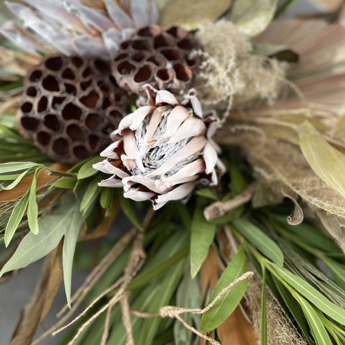 ネイティブフラワー スワッグ（大サイズ）｜プロテア×ユーカリ｜壁掛け