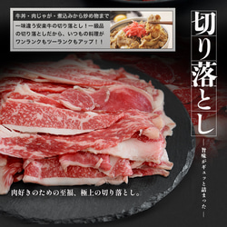 [安楽牛/宮崎牛] ヒレステーキ：150g x 3枚 総計450g 20枚目の画像