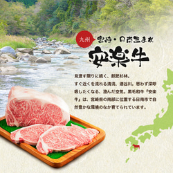 [安楽牛/宮崎牛] バラ・モモ焼肉：各300g/総計600g 13枚目の画像