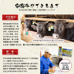 [安楽牛/宮崎牛] バラ・モモ焼肉：各300g/総計600g 11枚目の画像