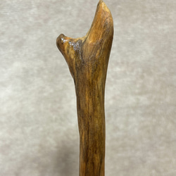 魔法の杖⭐︎つぶつぶ⭐︎流木 4枚目の画像