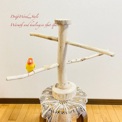 流木の止まり木  取り外しができる止まり木スタンド インコ オウム 鳥 バードスタンド パーチ N6 1枚目の画像