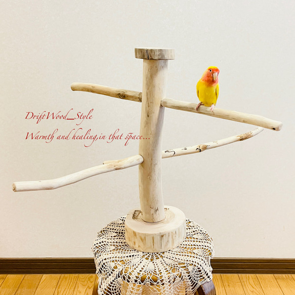 流木の止まり木  取り外しができる止まり木スタンド インコ オウム 鳥 バードスタンド パーチ N6 2枚目の画像