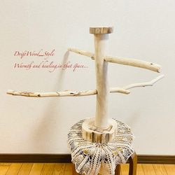 流木の止まり木  取り外しができる止まり木スタンド インコ オウム 鳥 バードスタンド パーチ N6 7枚目の画像