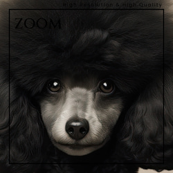 【ファッションショー - プードル犬 No.2】A2アートポスター 犬の絵 犬の絵画 犬のイラスト 3枚目の画像