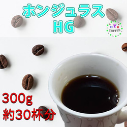 【自家焙煎】ホンジュラス ＨＧ 300g 柔らかな酸味とコクのある苦味のバランスが絶妙な、フルーティーでコクのある味わい 1枚目の画像