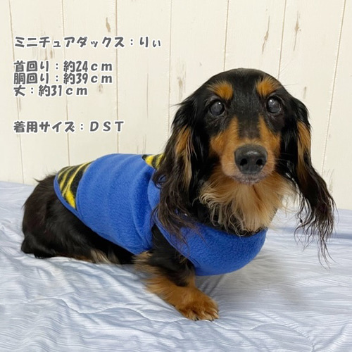 NEW】 青おにさんパーカー フリース生地 犬服 ﾄﾞｯｸﾞｳｪｱ 秋冬 鬼 節分