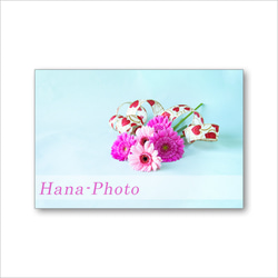 1615）鮮やかなピンクのガーベラのアレンジメント　 ポストカード5枚組 4枚目の画像