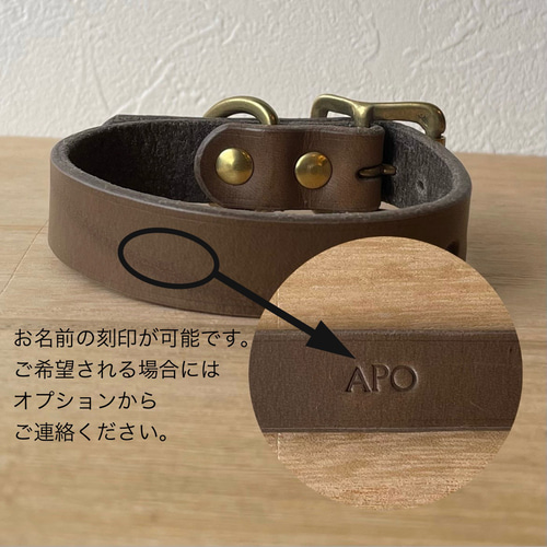 イタリアンレザーの犬用首輪 カラー チャーム 本革 リード・首輪