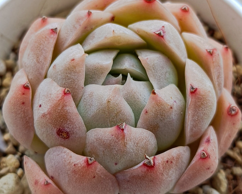 4739bc177d3428a09b310651ebc7a4