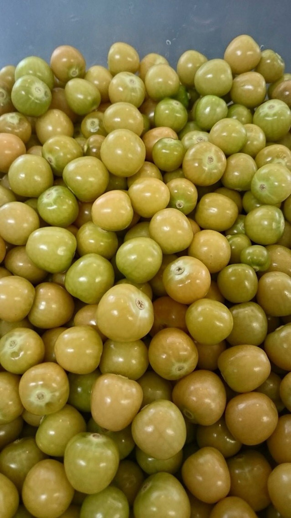 ほおずきのコンフィチュール　　new 5枚目の画像