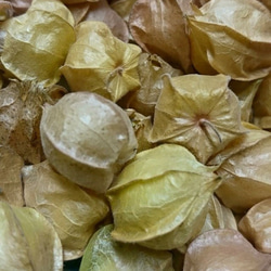 ほおずきのコンフィチュール　　new 4枚目の画像