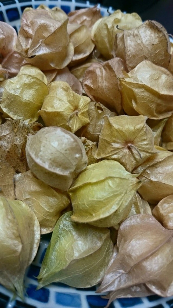 ほおずきのコンフィチュール　　new 4枚目の画像