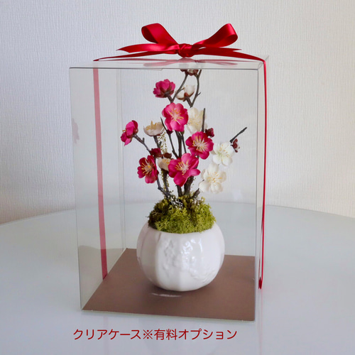 毎年飾れる》紅白梅のBONSAIアレンジ（アーティフィシャルフラワー
