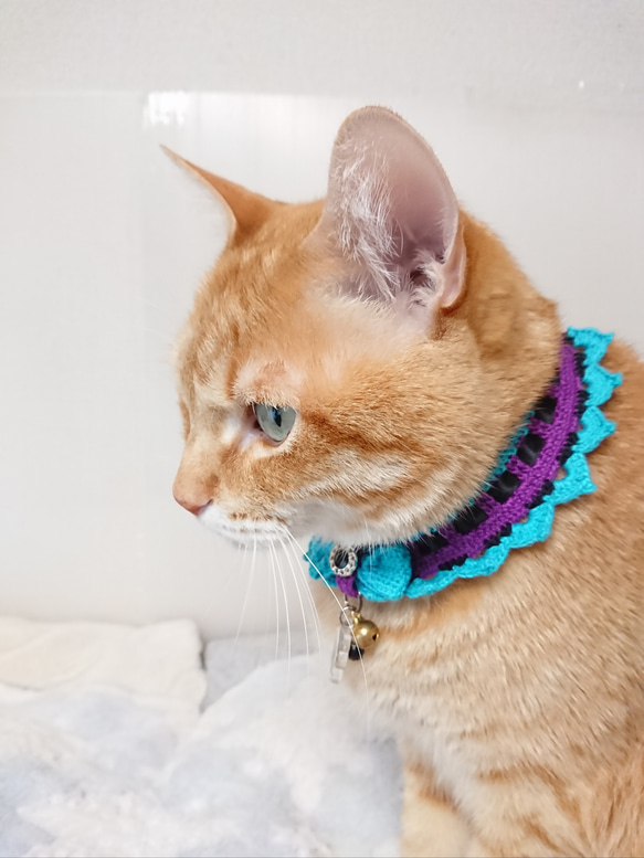 オプション取り外し可能リボン紹介ページ☆縫い付け迷子札 シュシュ猫