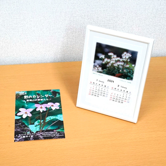 高尾山の野草たち　~ 2024年はがきサイズカレンダー ~ 2枚目の画像