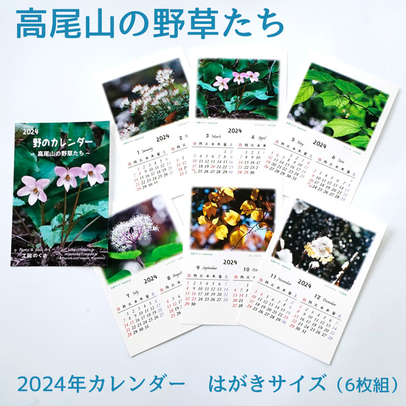 高尾山の野草たち　~ 2024年はがきサイズカレンダー ~ 1枚目の画像