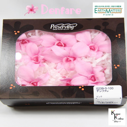 地球農場！永生花「Denfare 粉紅色 8 朵花」Preza Denfare 花材料植物標本室時尚可愛 第1張的照片