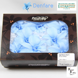 地球農場！永生花「Denfare 淡藍色 8 朵花」Preza Denfare 花材植物標本室時尚 第1張的照片