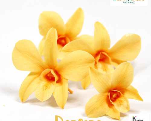 648ac9bb955b465abaec35132f291e