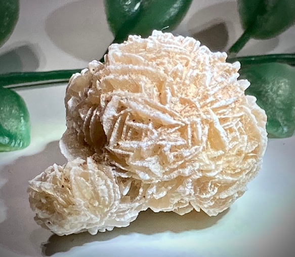 特大✨　知性の石　砂漠の薔薇　デザートローズ　セレナイト　ラフストーン　原石 親子石【知性の石】砂漠の薔薇 デザートローズ セレナイト ラフ