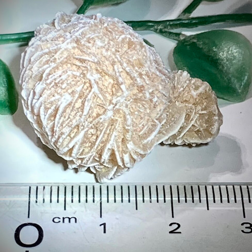 親子石【知性の石】砂漠の薔薇 デザートローズ セレナイト ラフ