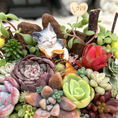 送料無料】再販♡ 長靴の中でスヤスヤ猫さん 多肉植物寄せ植え 贈り物