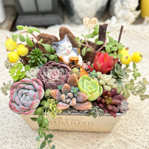 多肉植物寄せ植え長靴