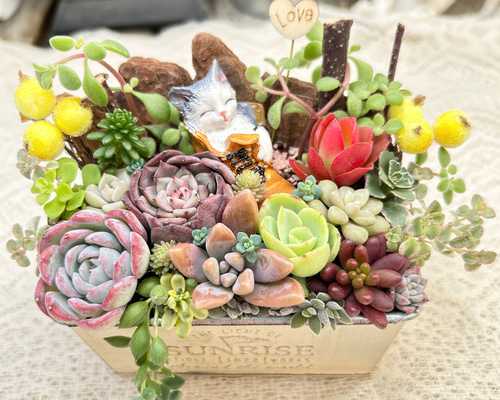 多肉植物　寄せ植え　長靴 送料無料】再販♡ 長靴の中でスヤスヤ猫さん 多肉植物寄せ植え 贈り物