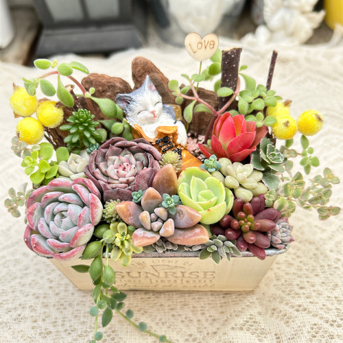 送料無料】再販♡ 長靴の中でスヤスヤ猫さん 多肉植物寄せ植え 贈り物