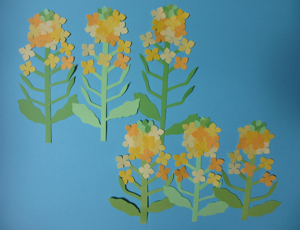 なのはな　6本　〈春の壁面〉　画用紙　壁面飾り　保育園・幼稚園・学校・図書館その他施設　 2枚目の画像