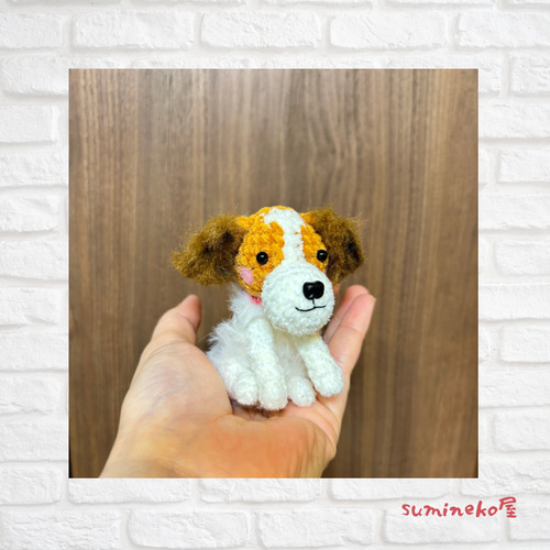 名古屋帯 コーイケルホンディエ 夏 単衣 犬 お仕立て込み 名古屋帯 コーイケルホンディエ 夏 単衣 犬 お仕立て込み 着物・浴衣