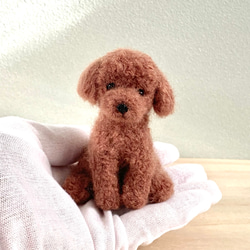 羊毛フェルトのおすわりブラウンカラートイプードル　犬のぬいぐるみ　 6枚目の画像