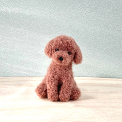 羊毛フェルトのおすわりブラウンカラートイプードル　犬のぬいぐるみ　 2枚目の画像