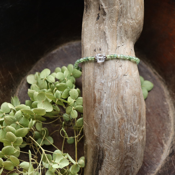 グリーントルマリン × ルドラクシャ 緑のブレスレット / 小さな祈り 13枚目の画像