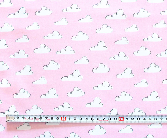 カットクロス Cloud9 Fabrics / Dog Days of Summer Summer Sky Pink 3枚目の画像