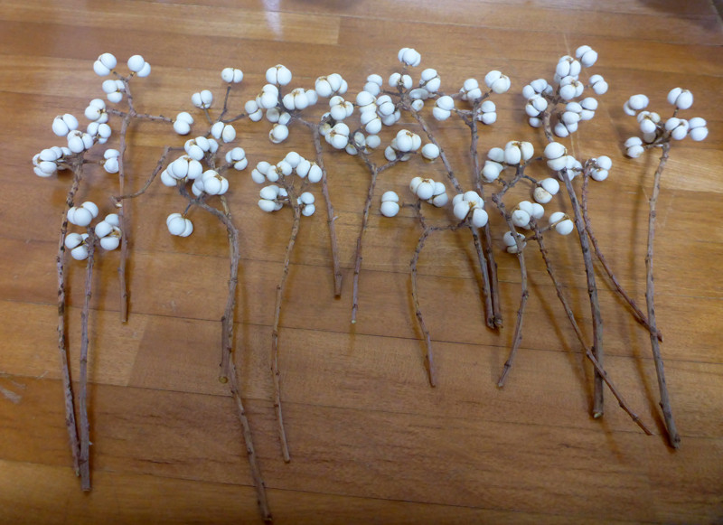 2025年10月収穫】ナンキンハゼの白い実 40g その他素材 pepe 通販