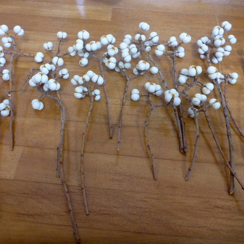 2025年10月収穫】ナンキンハゼの白い実 40g その他素材 pepe 通販