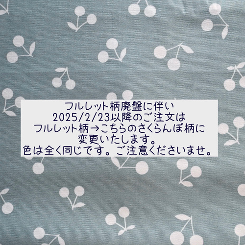 受注生産＜サイズ変更可＞水色好きちゃんに♡うさぎちゃんレッスン