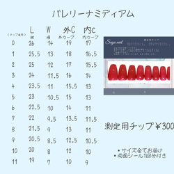 測定用チップ/計測用チップ/ネイルチップ【バレリーナ】 2枚目の画像