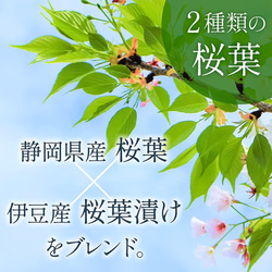鹿児島県産 べにふうき 使用 桜紅茶（3g×15包） 4枚目の画像