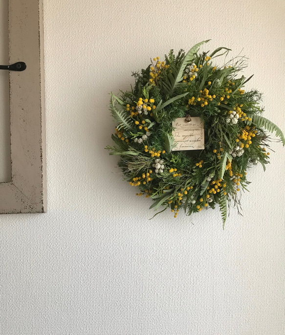 ミモザとラナンキュラスのリース ストック ミランドールミモザ 春