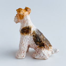 ワイアーフォックステリア（Wire Fox Terrier） 5枚目の画像