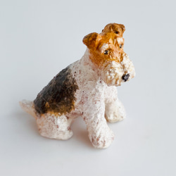 ワイアーフォックステリア（Wire Fox Terrier） 6枚目の画像