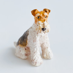 ワイアーフォックステリア（Wire Fox Terrier） 1枚目の画像