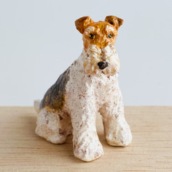 ワイアーフォックステリア（Wire Fox Terrier） 2枚目の画像